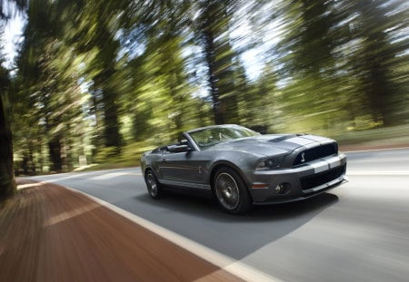 Ford Mustang Shelby - GT500 - gt500, ford, shelby, mustang