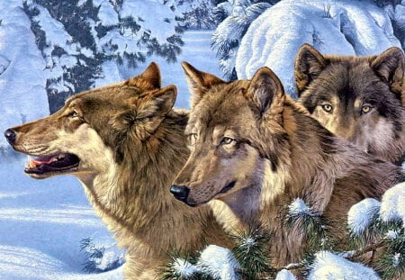 wolves in snow