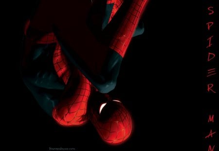 Amazing Spider Man - web head