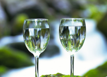 2 Wine Glass Nature  - 2 wine glass nature