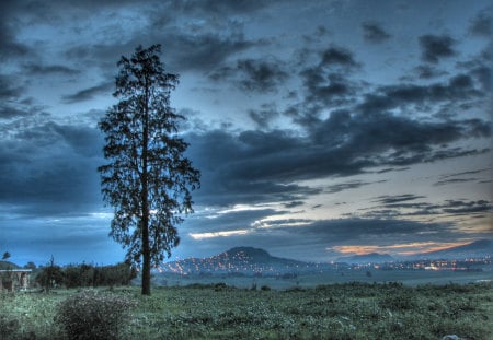 Tree - sky, tree, landscape, clouds