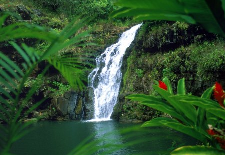 Waterfall - flowers, fall, waterfall, green, lake