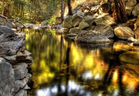 lake - trees, water, lake, color, forest, rocks