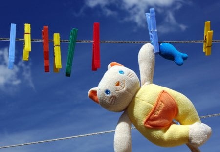 plush cat - cat, toy, sky, funny