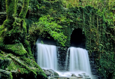 waterfalls - fall, forest, water, waterfall, trees, green