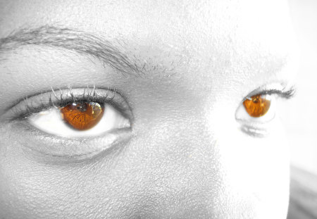 Fury - brown, fury, eye, mind teaser, abstract, boy