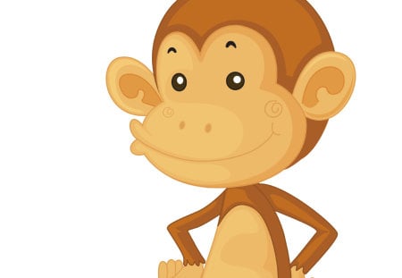 cute monkey