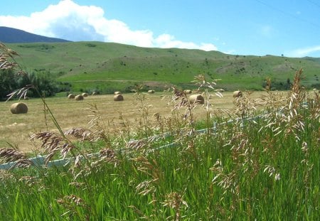 New Hay Crop - clouds, hills, hay, grass, field, fence, bales, sky