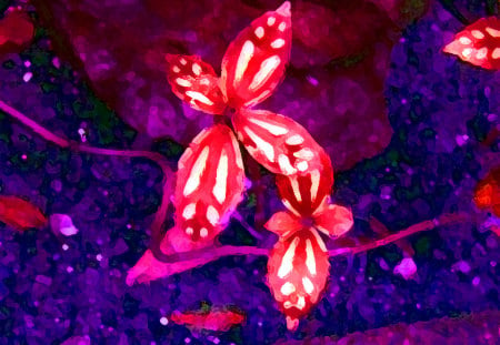 Little Red Flower - neon, red, plant, colorful, rock, flower