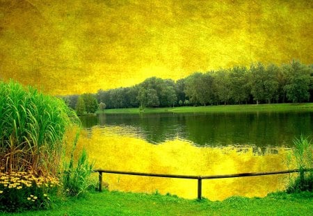 Lake - nature, lake, forest, beautiful