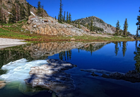 Reflection - beauty, sky, trees, peaceful, water, mountains, spring, view, reflection, clouds, green, hdr, tree, grass, lake, hills, landscape, lovely, nature, blue, beautiful, splendor, pines