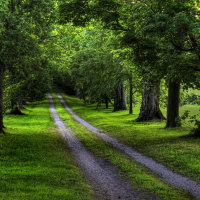 Path-HDR