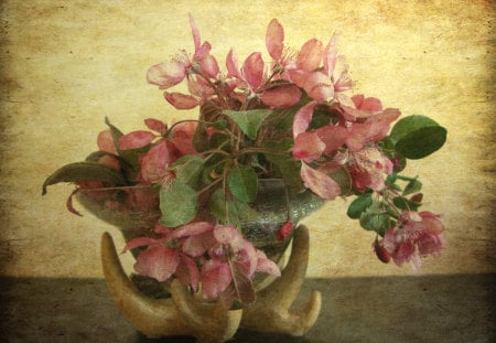 still life - flowers, spring, texture, pink, still life, bowle