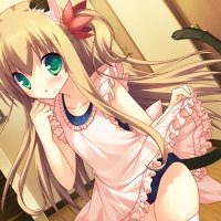 Cute Kitty