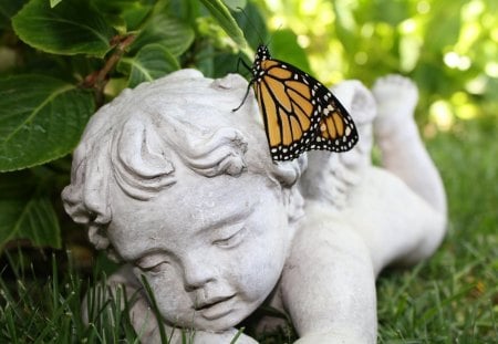 Hold you tight... - summer, miracles, beautiful, forever, white, afternoon, morning, stone, wonder, animals, love, peaceful, garden, believe, butterfly, hope, angel, green, sunshine