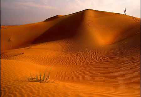 Arabian red sands - sands, nature, arabia, red, desert, sand, deserts, arabian