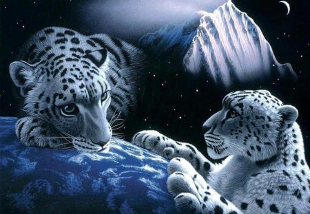 Couple of tigers - moon, couple, mountain, animals, animal, fantasy, tigers