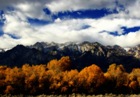 Autumn landscape - forest, river, tree, nature, autumn