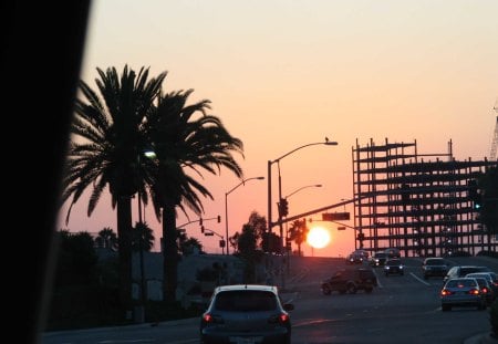 sunset in the city - cars, construction, palms, city view, road, urban sunset, sun