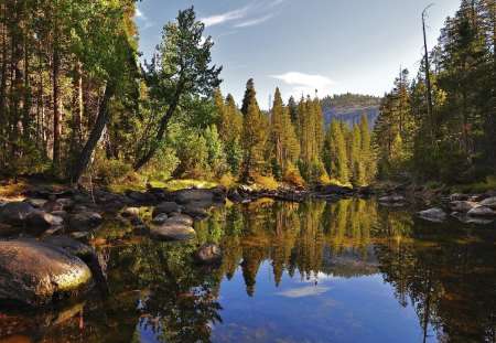 NATURAL PARK - lake, natural park, trees, forest, mountain