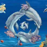 DOLPHINS IN A CIRCLE