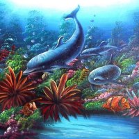 DOLPHINS IN THE CORAL