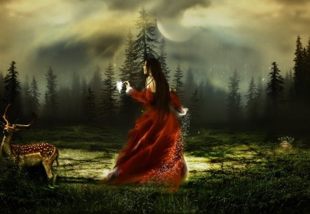 Woman - woman, moon, people, forest