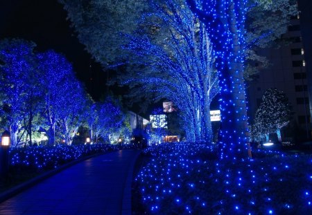 Blue City Lights - abstract, city, night, blue