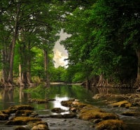 View of a lake and trees