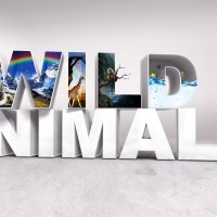 Wild Animals