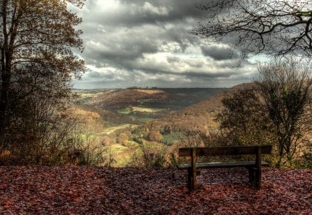 Join me for a moment.. - beauty, autumn, sky, trees, image, bench, other, sesons, view, clouds, branches, background, above, nature, tranquility, leaves, silence