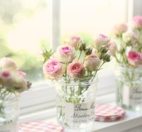 Roses on the window sill