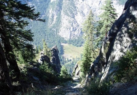 Looking Out - forest, pathway, trees, mountain