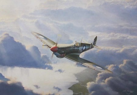 SPITFIRE  MK8 - aircraft, plane, mk8, spitfire