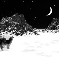 Howling Wolf