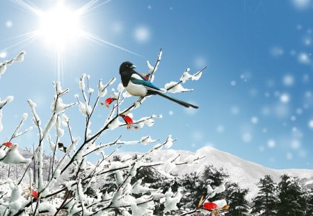 Sunny Winter Day - bird, winter, snow, forest, mountains, firefox persona, sun, sky