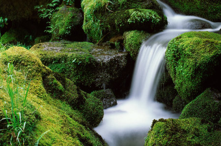 Beautiful Waterfall - national-forest, umpqua, watson, beautiful, oregon, waterfall, creek