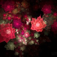 ABSTRACT ROSES