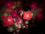 ABSTRACT ROSES