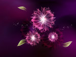 PURPLE DAISY ABSTRACTS