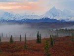 Morning Fog Alaska