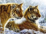 Tigers in snow