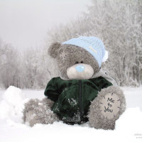 Winter teddy bear