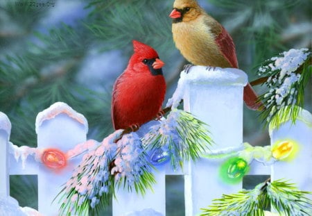 Sweet birds - nature, fence, bird, flower