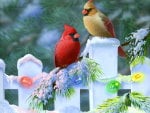 Sweet birds