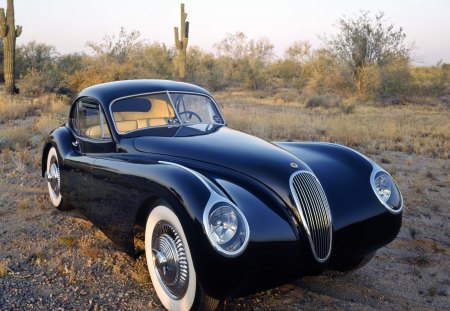 Jag in the Desert - jaguar xk120, fixed, 53, antique, coupe, 1953, car, classic, head