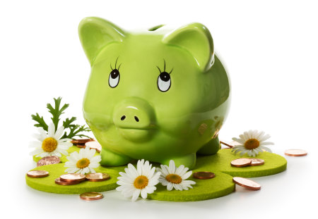 Piggy Bank And Daisies - pretty, daisy, piggy bank, flowers, daisies, coins, nice, money, beautiful, photography, beauty, colors, lovely, still life, sweet, nature, green, cute