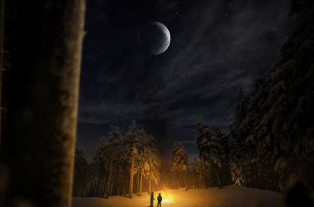 Winter Campfire - moon, two men, trees, winter, campfire