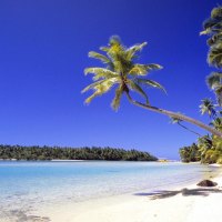 Sun and Sand Cook Islands