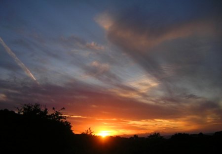 SUNSET - trees, sunset, orange, nature